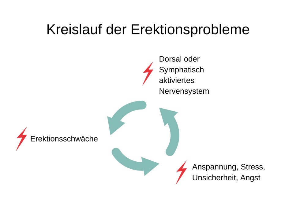 Wie Erektionsprobleme entstehen