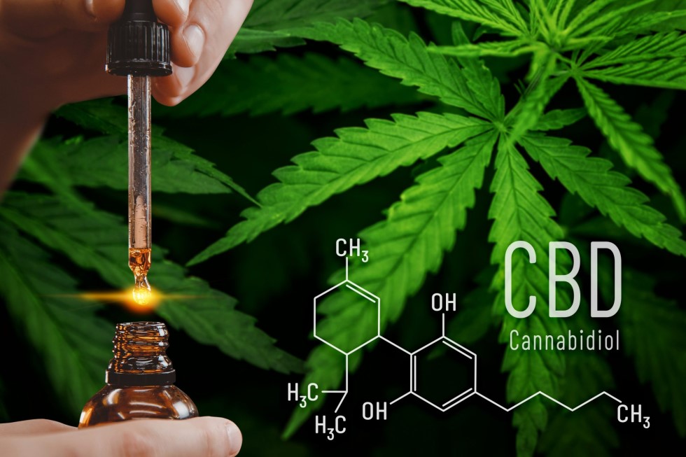 Informationen zu CBD-Öl