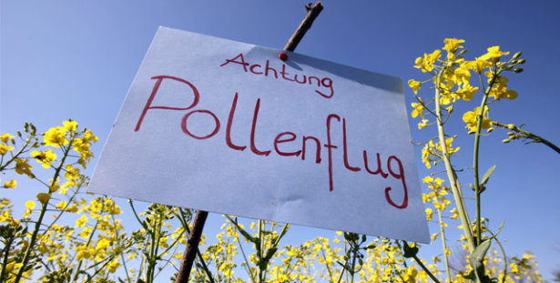 Hilfe und Ratgeber gegen Allergien